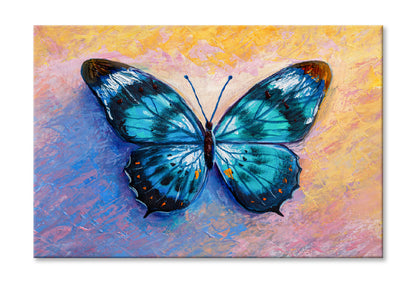 Oil Painting Of Blue Butterfly Limited Edition High Quality Print Stretched Canvas None