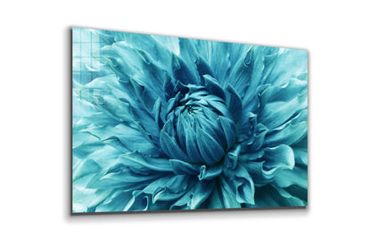 Blue Chrysanthemum UV Direct Aluminum Print Australian Made Quality