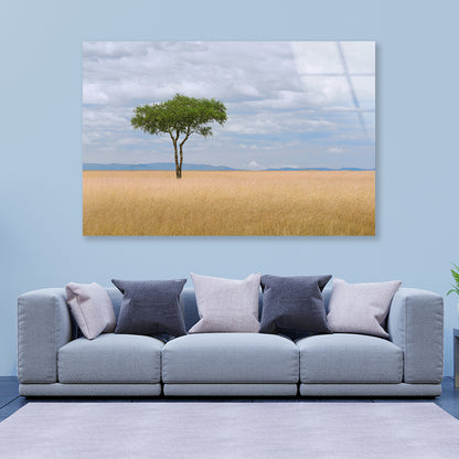 A Single Tree in an Open Field with a Blue Sky Acrylic Glass Print Tempered Glass Wall Art 100% Made in Australia Ready to Hang