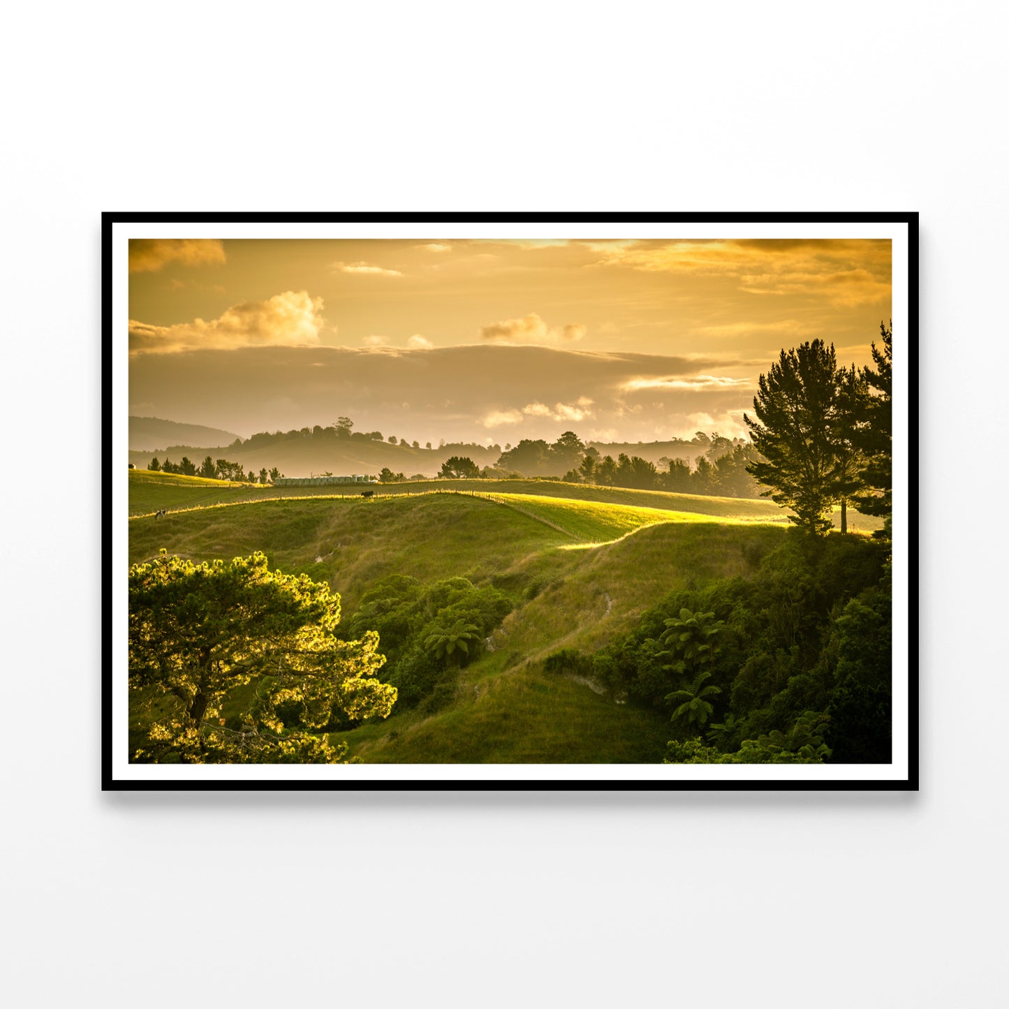 Grassy Hill and Trees with Sky Home Decor Premium Quality Poster Print Choose Your Sizes