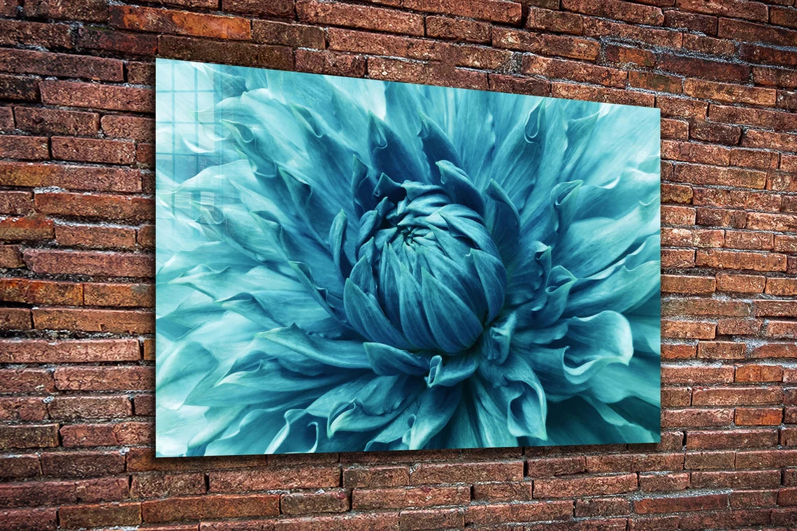 Blue Chrysanthemum UV Direct Aluminum Print Australian Made Quality