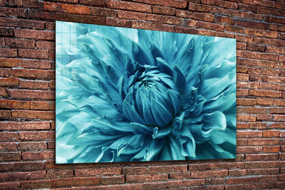 Blue Chrysanthemum UV Direct Aluminum Print Australian Made Quality