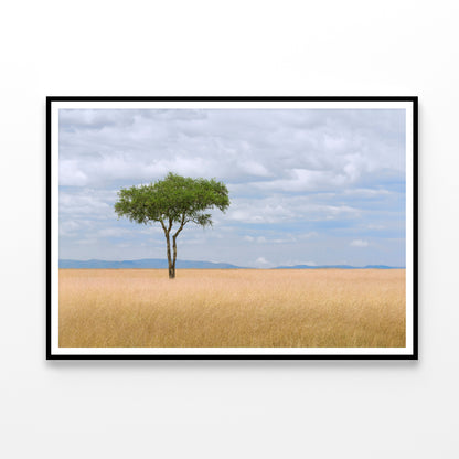 A Single Tree in an Open Field with a Blue Sky Home Decor Premium Quality Poster Print Choose Your Sizes - Bella Home Decor