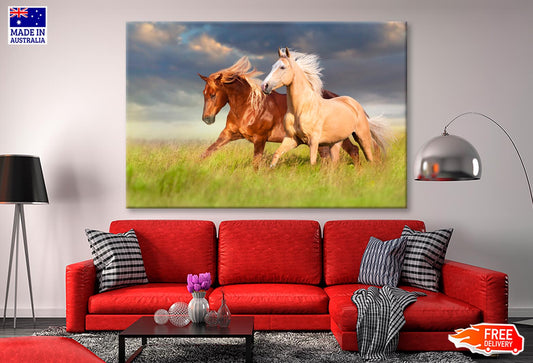 Horses Running in A Field with A Cloudy Sky Wall Art Decor 100% Australian Made