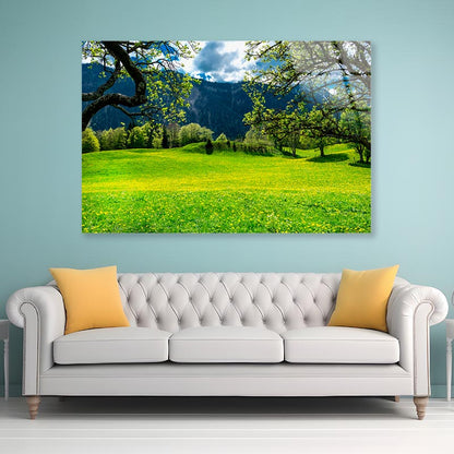 Sommerwiese with Mountains Acrylic Glass Print Tempered Glass Wall Art 100% Made in Australia Ready to Hang