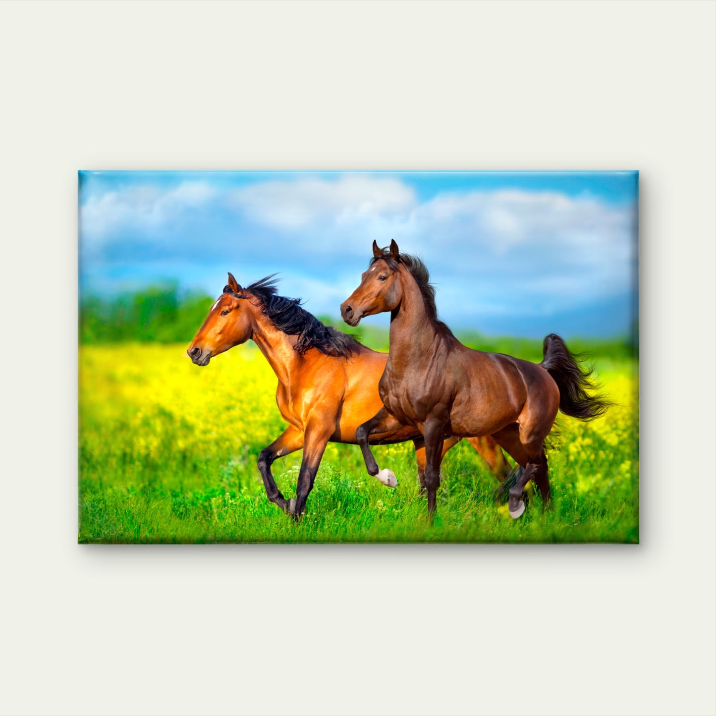 Wild Horses Running Europe Meadow Wall Art Decor 100% Australian Made
