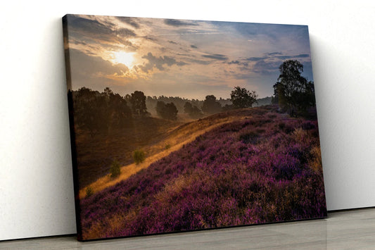 Sunrise with purple flowers Scene UV Direct Aluminum Print Australian Made Quality