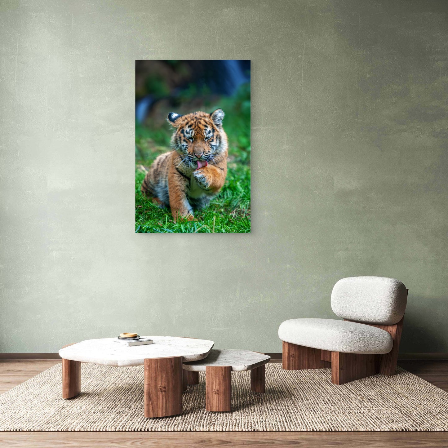 Cute Tiger Cub Licking Paw Wildlife 40x60cm Metal Print Ready to Hang
