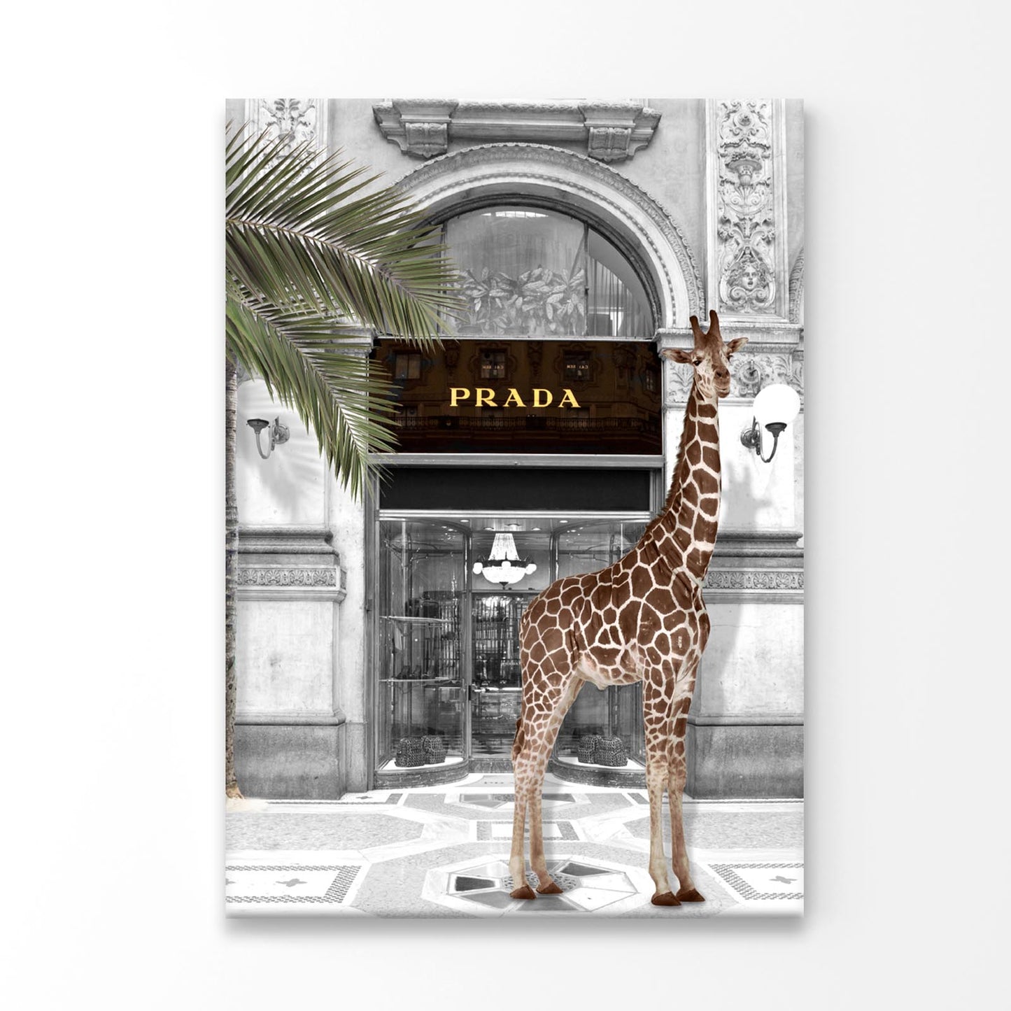 Giraffe & Fashion Store Print 100% Australian Made