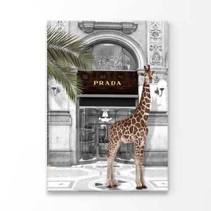 Giraffe & Fashion Store Print 100% Australian Made