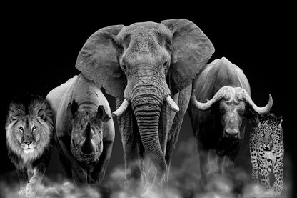 African Big Five Wild Animals on Black Glass Print Tempered Glass Wall Art 100% Made in Australia Ready to Hang