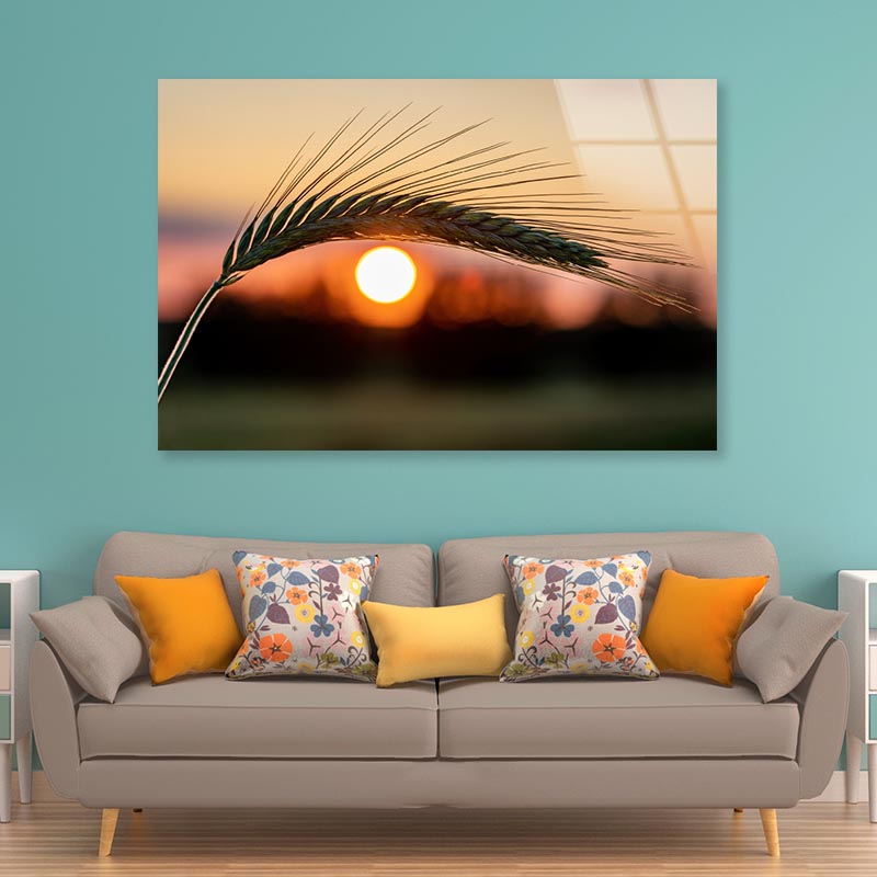 Barley Ear On a Background of a Disk of The Setting Sun Acrylic Glass Print Tempered Glass Wall Art 100% Made in Australia Ready to Hang - Bella Home Decor