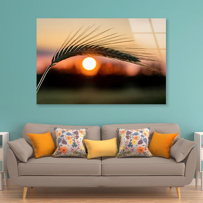 Barley Ear On a Background of a Disk of The Setting Sun Acrylic Glass Print Tempered Glass Wall Art 100% Made in Australia Ready to Hang - Bella Home Decor
