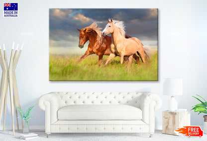 Horses Running in A Field with A Cloudy Sky Wall Art Decor 100% Australian Made - Bella Home Decor