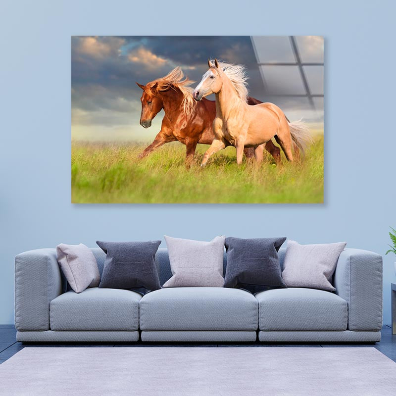 Horses Running in A Field with A Cloudy Sky Acrylic Glass Print Tempered Glass Wall Art 100% Made in Australia Ready to Hang