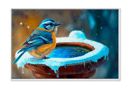 Beautiful Winter Time Bird Feeder Wall Art Limited Edition High Quality Print