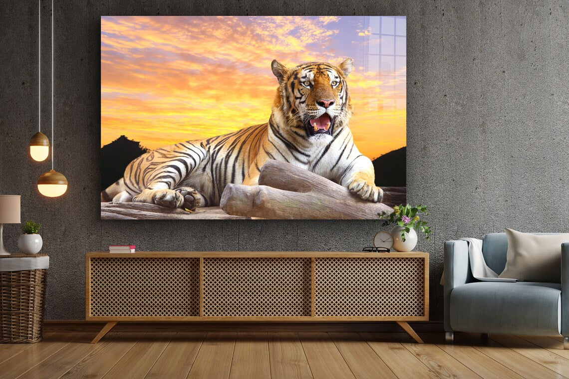 Tiger Sunset Sky View UV Direct Aluminum Print Australian Made Quality