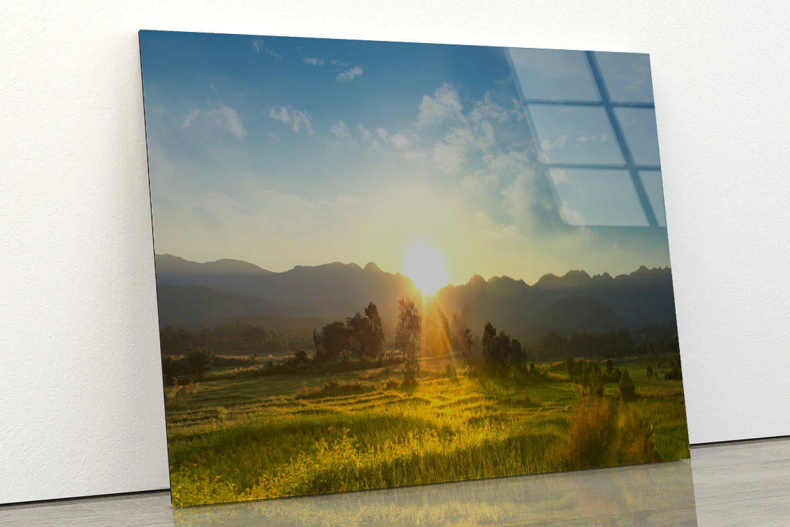 Sunset, Blossoming Meadow Acrylic Glass Print Tempered Glass Wall Art 100% Made in Australia Ready to Hang - Bella Home Decor