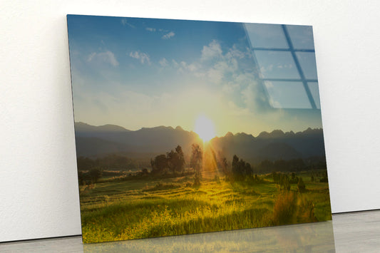 Sunset, Blossoming Meadow Acrylic Glass Print Tempered Glass Wall Art 100% Made in Australia Ready to Hang - Bella Home Decor