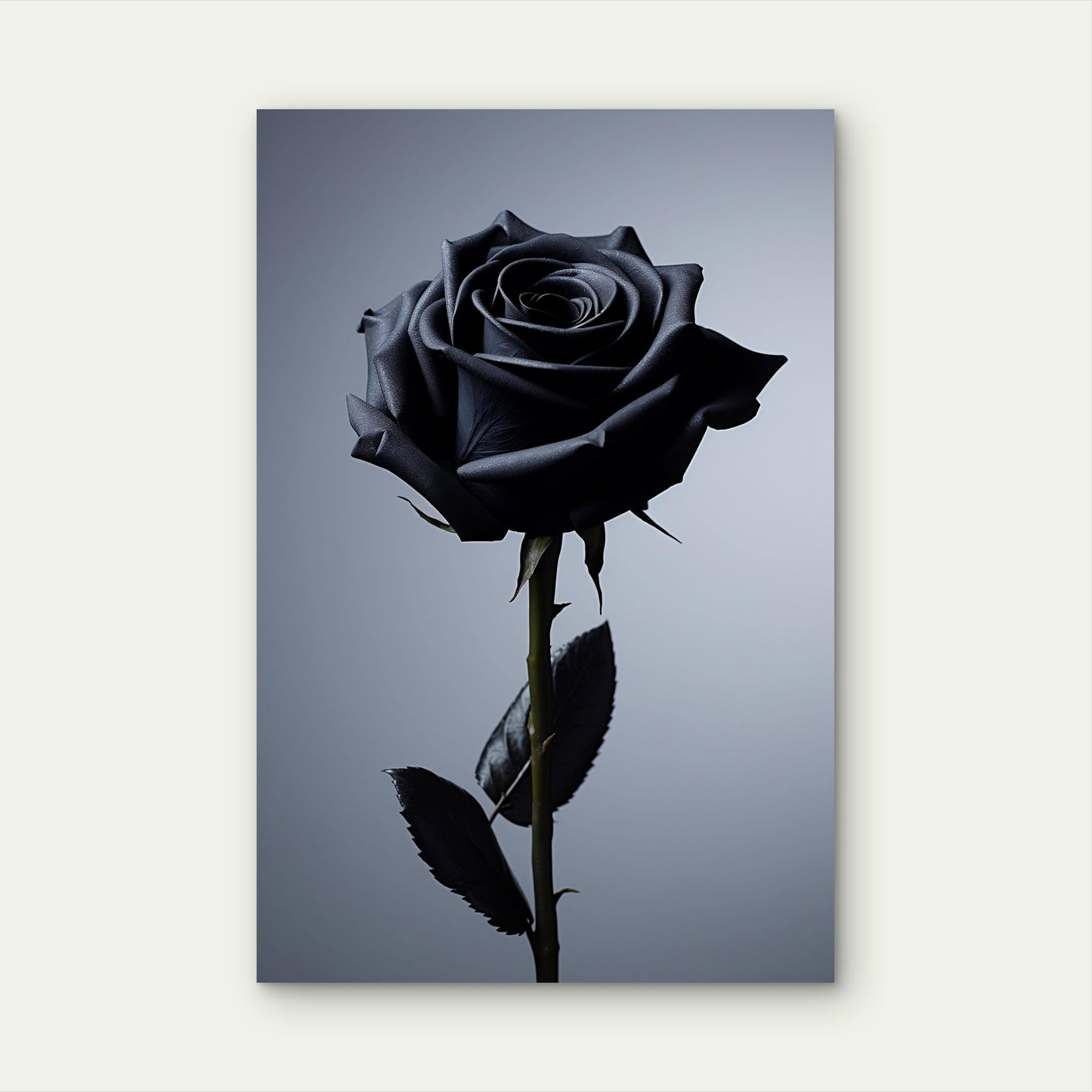 Gothic Black Rose Flower Single Stem 40x60cm Metal Print Ready to Hang