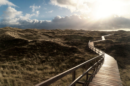 Dunes On the North Frisian Island Amram in Germany Acrylic Glass Print Tempered Glass Wall Art 100% Made in Australia Ready to Hang - Bella Home Decor