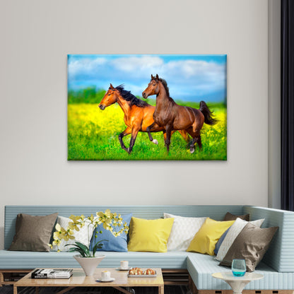 Wild Horses Running Europe Meadow Wall Art Decor 100% Australian Made