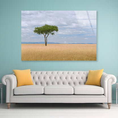 A Single Tree in an Open Field with a Blue Sky Acrylic Glass Print Tempered Glass Wall Art 100% Made in Australia Ready to Hang