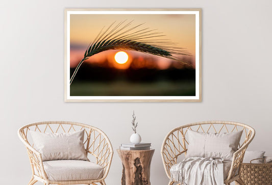 Barley Ear On a Background of a Disk of The Setting Sun Home Decor Premium Quality Poster Print Choose Your Sizes