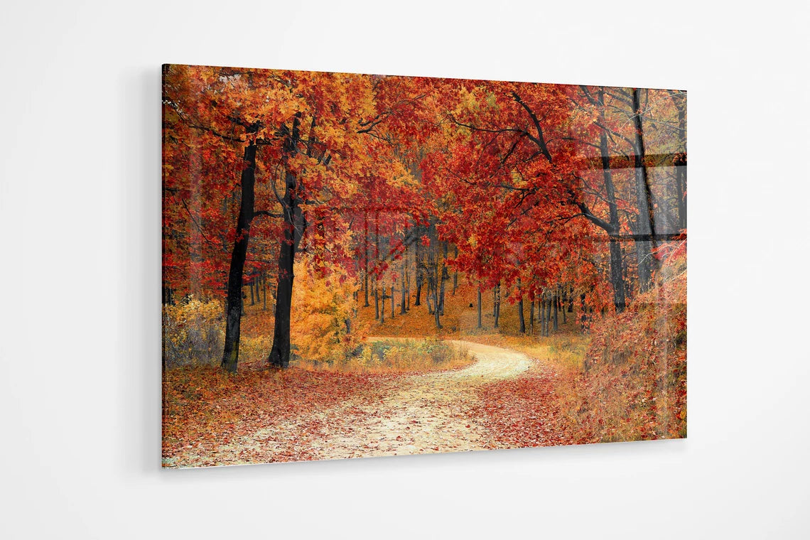 Autumn tree scene warm red orange lounge UV Direct Aluminum Print Australian Made Quality