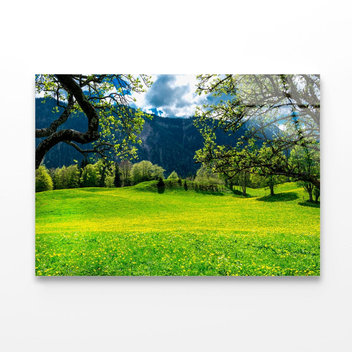 Sommerwiese with Mountains Acrylic Glass Print Tempered Glass Wall Art 100% Made in Australia Ready to Hang