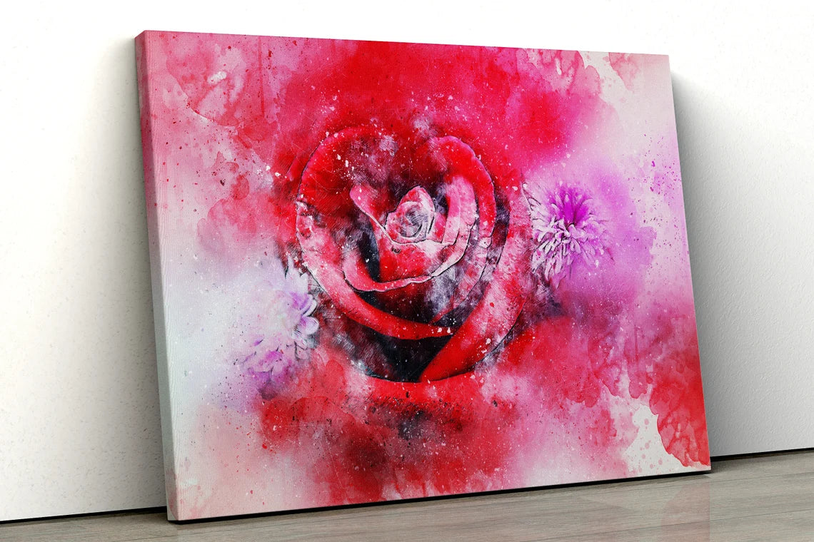 Red rose pink flower water color painting UV Direct Aluminum Print Australian Made Quality