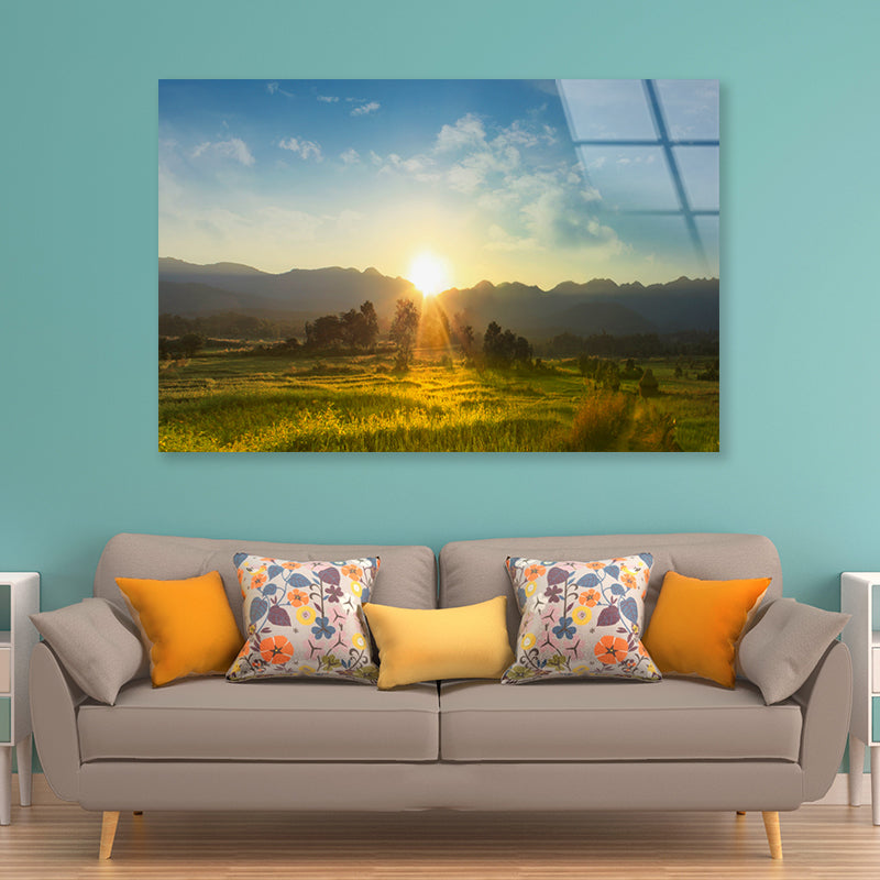 Sunset, Blossoming Meadow Acrylic Glass Print Tempered Glass Wall Art 100% Made in Australia Ready to Hang - Bella Home Decor
