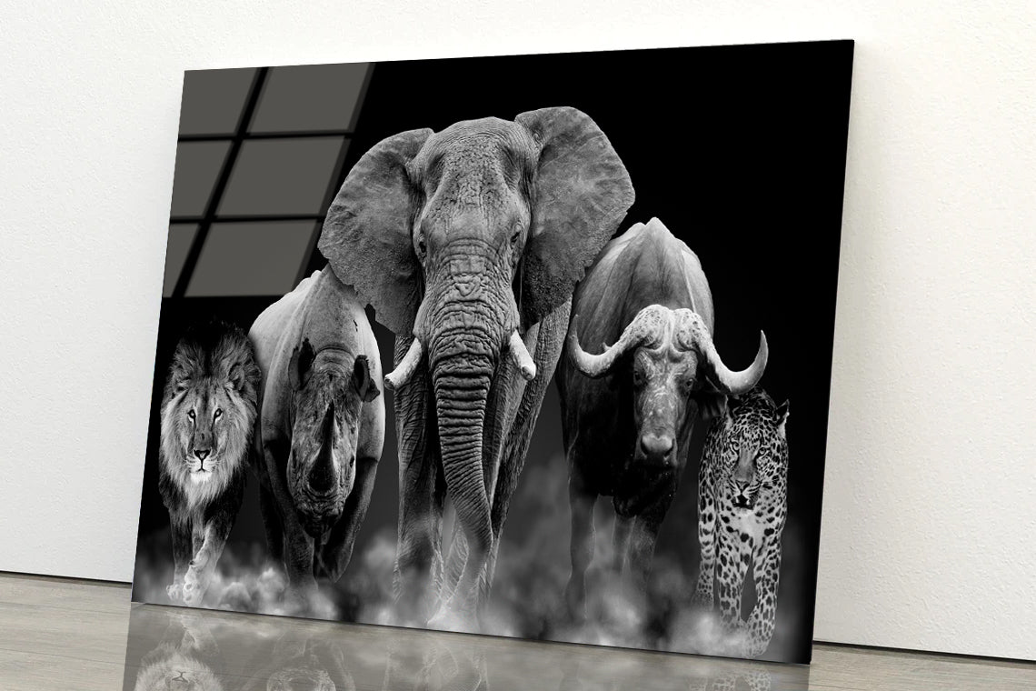 African Big Five Wild Animals on Black Glass Print Tempered Glass Wall Art 100% Made in Australia Ready to Hang
