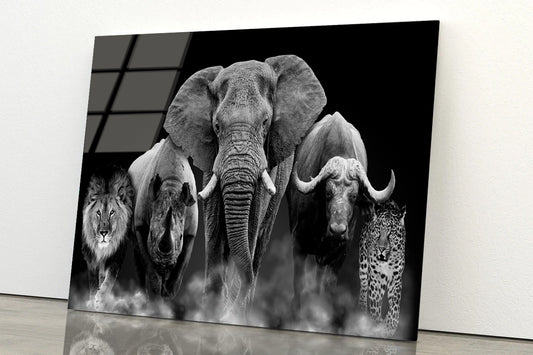 African Big Five Wild Animals on Black Glass Print Tempered Glass Wall Art 100% Made in Australia Ready to Hang