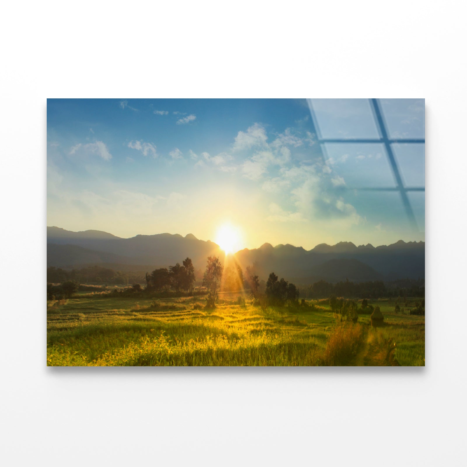 Sunset, Blossoming Meadow Acrylic Glass Print Tempered Glass Wall Art 100% Made in Australia Ready to Hang - Bella Home Decor