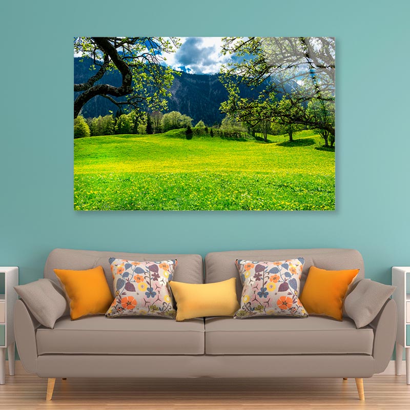 Sommerwiese with Mountains Acrylic Glass Print Tempered Glass Wall Art 100% Made in Australia Ready to Hang