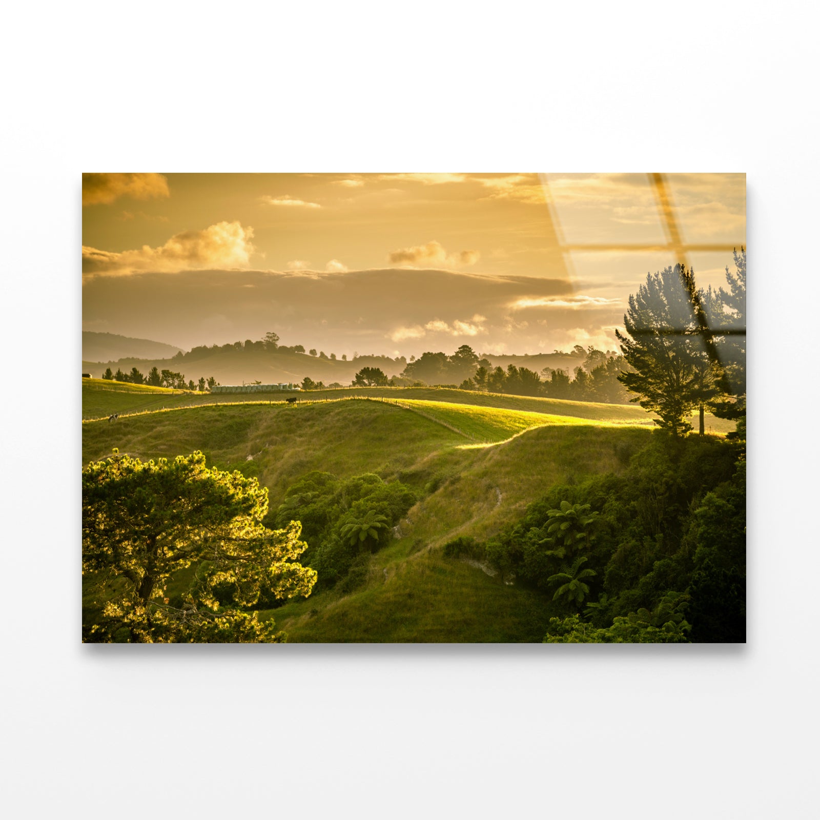 Grassy Hill and Trees with Sky Acrylic Glass Print Tempered Glass Wall Art 100% Made in Australia Ready to Hang - Bella Home Decor