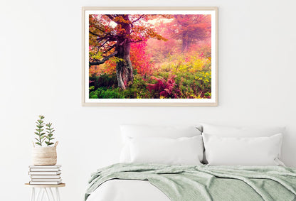 Majestic Landscape with Autumn Trees in Forest Home Decor Premium Quality Poster Print Choose Your Sizes