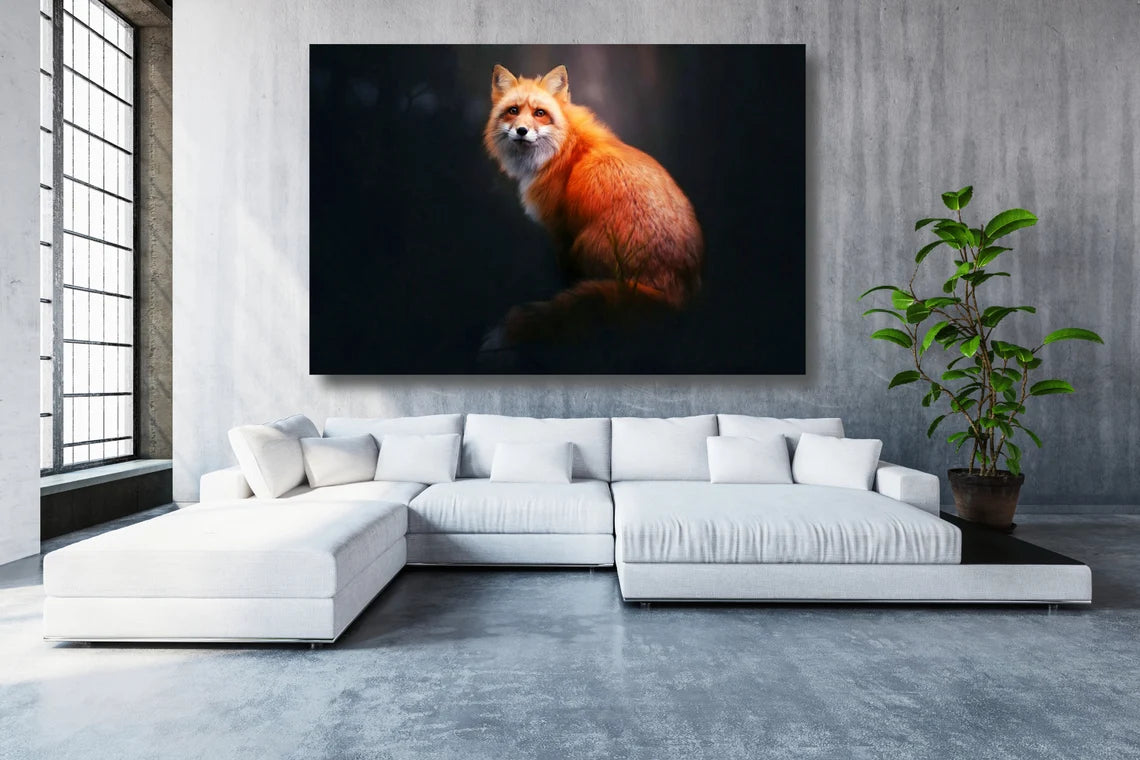 Fox Wall Art UV Direct Aluminum Print Australian Made Quality