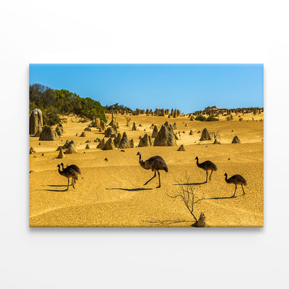 The Pinnacles Desert Western Australia Emus Wall Art Decor 100% Australian Made