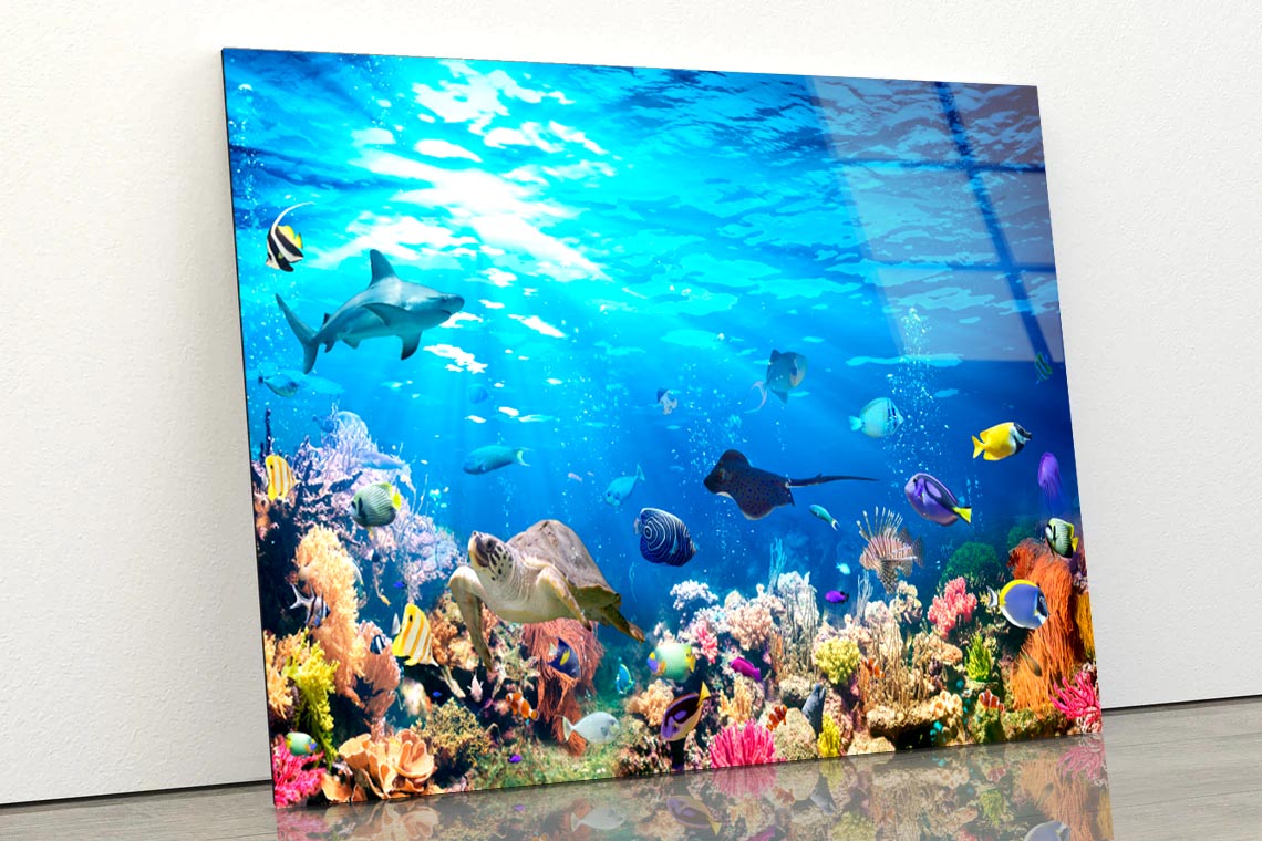 Underwater Scene with Coral Reef and Exotic Fishes Acrylic Glass Print Tempered Glass Wall Art 100% Made in Australia Ready to Hang