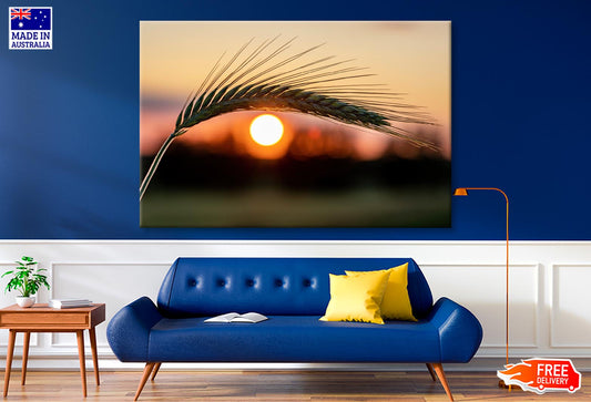 Barley Ear On a Background of a Disk of The Setting Sun Wall Art Decor 100% Australian Made