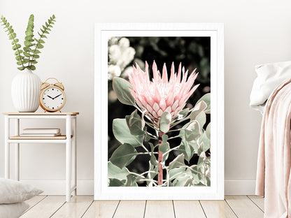 Protea Flower & Plant Closeup Photograph Glass Framed Wall Art, Ready to Hang Quality Print With White Border White