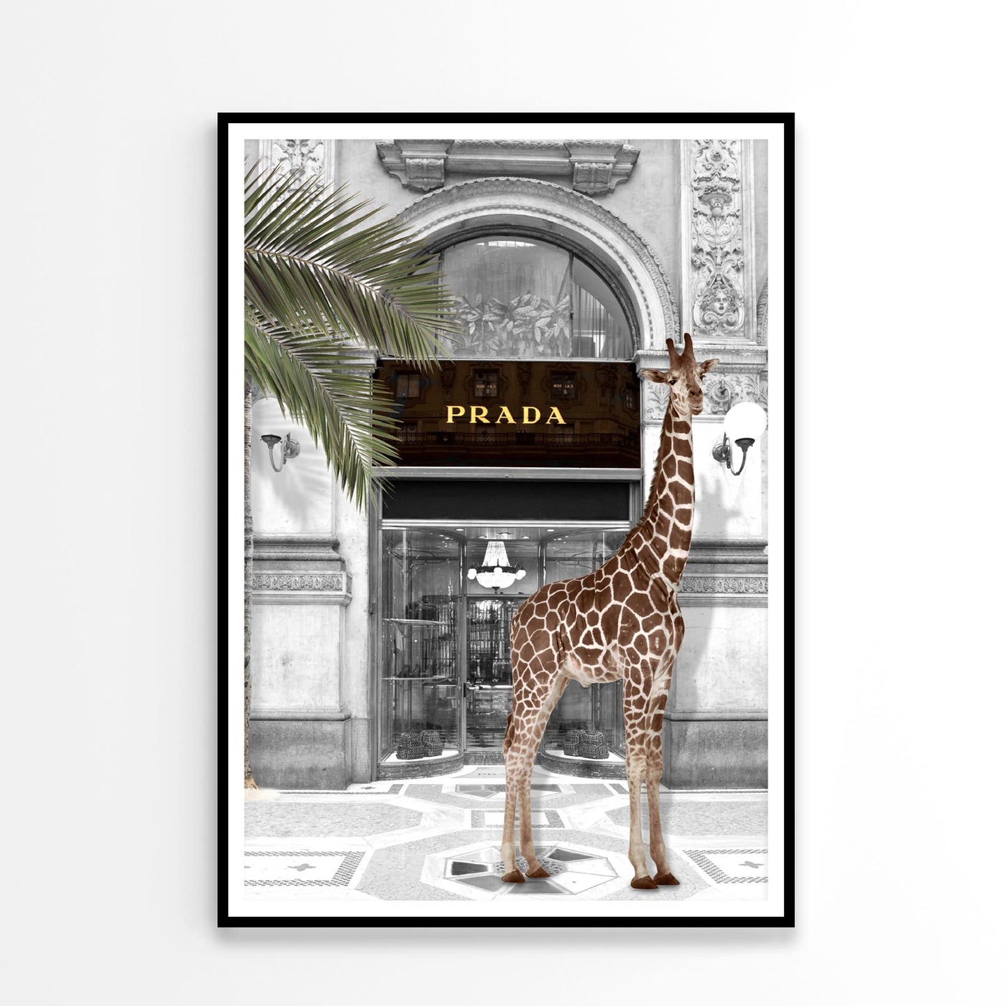 Giraffe & Fashion Store Design Home Decor Premium Quality Poster Print Choose Your Sizes