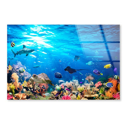 Underwater Scene with Coral Reef and Exotic Fishes Acrylic Glass Print Tempered Glass Wall Art 100% Made in Australia Ready to Hang