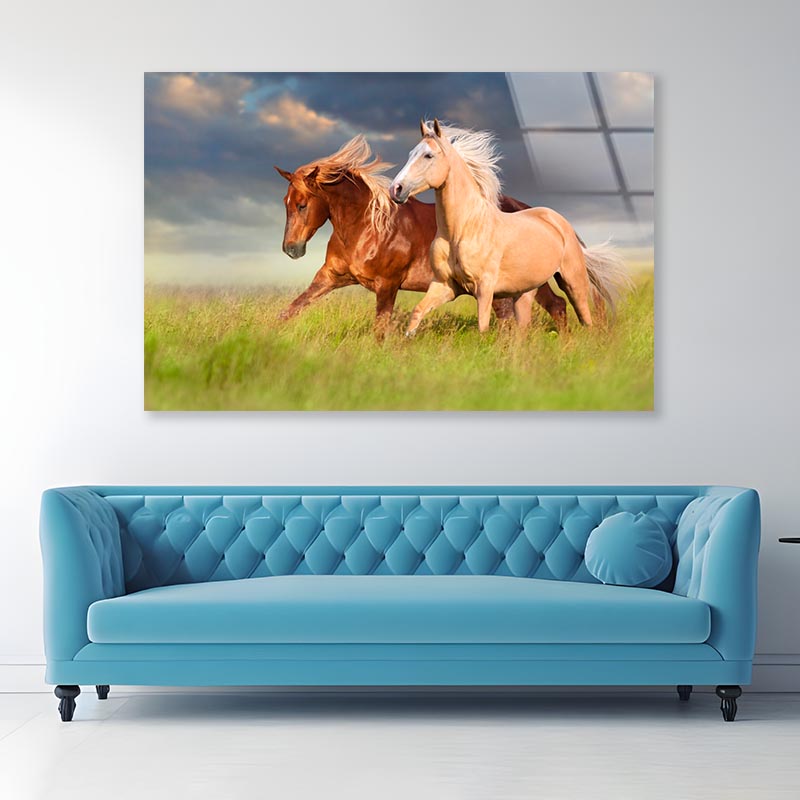 Horses Running in A Field with A Cloudy Sky Acrylic Glass Print Tempered Glass Wall Art 100% Made in Australia Ready to Hang