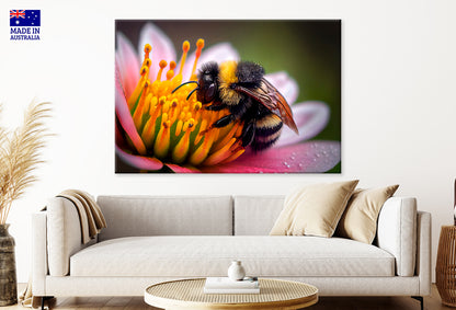 Bumblebee Collects Flower Nectar on a Flower Wall Art Decor 100% Australian Made