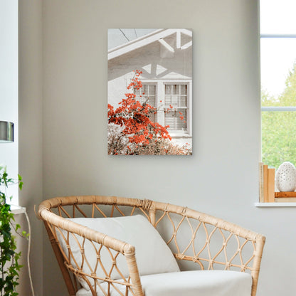 Flowering Quince by White House 60x90cm Metal Print Ready to Hang
