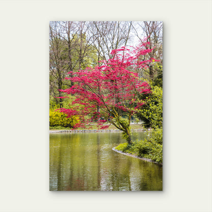 Colourful Mexican House 40x60cm Metal Print Ready to Hang