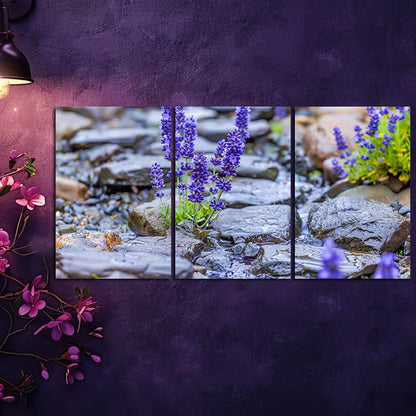 3pcs Sun-Drenched Meadow with Rocks Wall Art Set Canvas Framed 50x70cm - High Quality Print 100% Australian Made Wall Canvas Ready to Hang